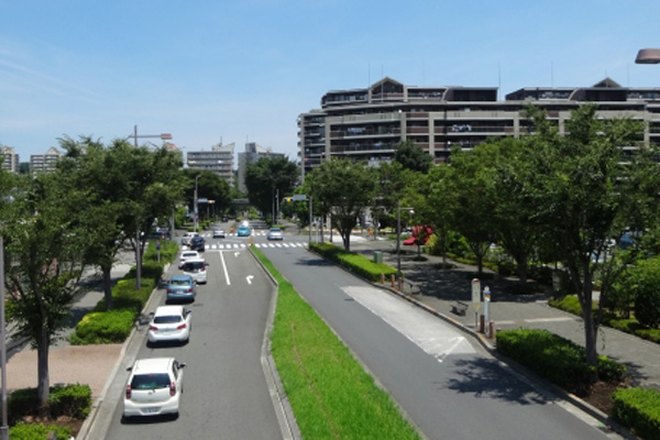 稲城市を熟知するペーパードライバー講習